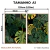Kit 2 Quadros Decorativos - Monstera Tropical na internet