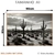 Quadro Decorativo - Deserto de Cactos em P&B