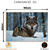 Quadro Decorativo - Coleção {Winter Wolves} #03 - Damuvia - Quadros Decorativos com Moldura Filete