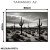 Quadro Decorativo - Deserto de Cactos em P&B - Damuvia - Quadros Decorativos com Moldura Filete