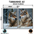 Kit 2 Quadros Decorativos - Coleção {Winter Wolves} #04 - Damuvia - Quadros Decorativos com Moldura Filete
