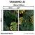 Kit 2 Quadros Decorativos - Monstera Tropical na internet