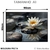Quadro Decorativo - Lotus Tranquilo