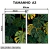 Kit 2 Quadros Decorativos - Monstera Tropical - Damuvia - Quadros Decorativos com Moldura Filete