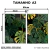 Kit 2 Quadros Decorativos - Monstera Tropical - loja online
