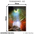 Quadro Decorativo - Luz Celestial no Refúgio da Terra - comprar online