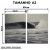 Imagem do Kit 2 Quadros Decorativos - Coleção {Eternal Waves} #15