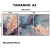 Kit 3 Quadros Decorativos - Folhagem Etérea - loja online