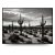 Quadro Decorativo - Deserto de Cactos em P&B - comprar online