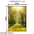 Quadro Decorativo - Floresta Iluminada - Damuvia - Quadros Decorativos com Moldura Filete