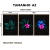 Imagem do Kit 3 Quadros Decorativos - Sinfonia da Natureza