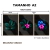 Kit 3 Quadros Decorativos - Sinfonia da Natureza