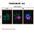 Imagem do Kit 3 Quadros Decorativos - Sinfonia da Natureza
