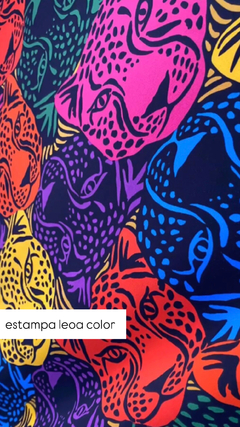 Body Color II