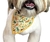 Bandanas M macho (10 unidades)