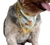 Bandanas M macho (10 unidades)