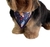 Bandanas M macho (10 unidades)