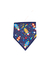 Bandanas M macho (10 unidades) - comprar online