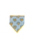 Bandanas M macho (10 unidades) - loja online