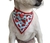 Bandanas M fêmea (10 unidades)