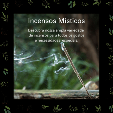 Carrossel 1
