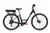 E-VIBE EASY RIDER