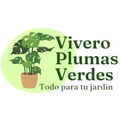 vivero plumas verdes