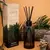 Difusor Exotic Destinations 200ml | Aquí y Ahora en internet