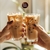 Imagen de ¡¡NOVEDAD!! Frappé - Caja x10 cápsulas Dolce Gusto