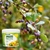 Forth Adubo Fertilizante P/ Árvore Frutífera Npk Frutas 3kg (7898268382036) na internet