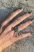 Anillo Srta Corazón 〈B,Plata〉