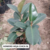GOMERO HOJA CHICA 5L