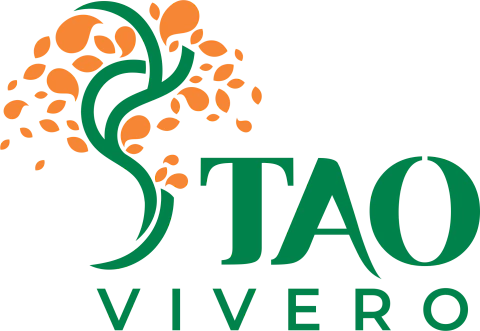 Taovivero