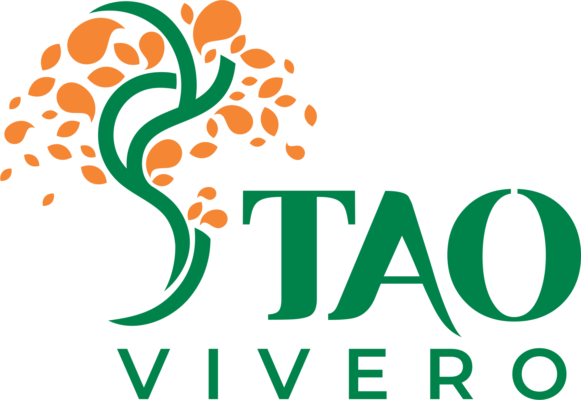 Taovivero