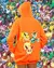 Flareon - Pokémon en internet