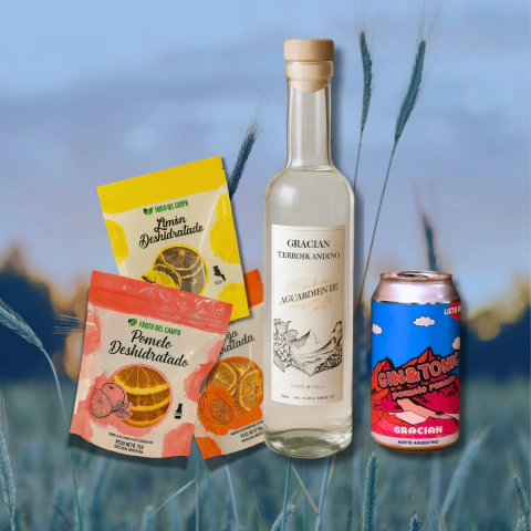 Combo Aguardiente + 6 Pack Mora + Cítricos