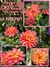 Imagen de Bulbos De Dalias Decorativas Exóticas X1 Imp. Holanda