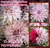 Imagen de Bulbos De Dahlia Cactus Exoticos X1 - Imp. Holanda
