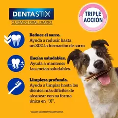 PEDIGREE DENTASTIX ADULTO RAZA MEDIANA - comprar online