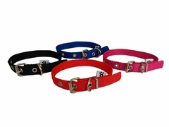 Collar con hebilla