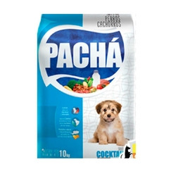 PACHA CACHORRO