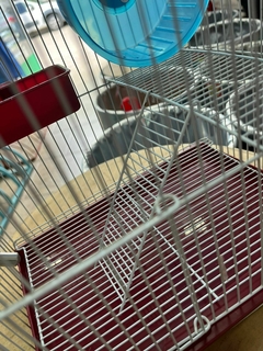 JAULA DE HAMSTER CHICA en internet