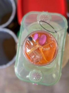 JAULA DE HAMSTER PLASTICO en internet