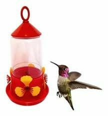 BEBEDERO COLIBRI - comprar online