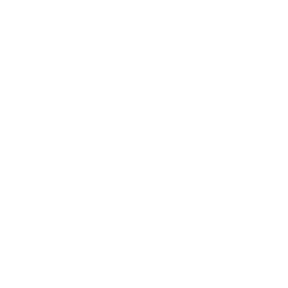 iFly Sandals