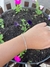 Pulseira Elos