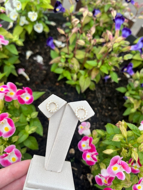 Brinco Círculo Cravejado