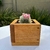 Cajoncito con Cactus - comprar online