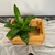 Organizador canasto - madera de pino - comprar online