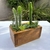 Maceta cajón con cactus - El Galpón Junín